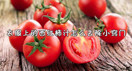 西红柿汁弄到衣服上怎么洗掉