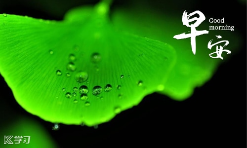 高情商表白暖心浪漫的句子（精选160句）