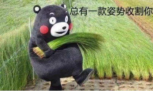 割韭菜是什么意思什么梗 2021年割韭菜操作越来越多图片