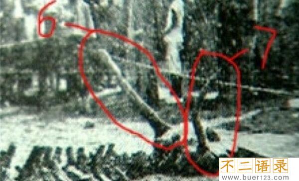 1934年辽宁营口坠龙事件是真的吗 无确切证据证明（假的）图片