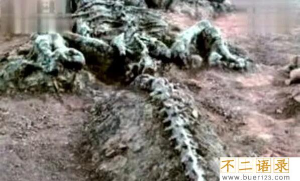 1934年辽宁营口坠龙事件是真的吗 无确切证据证明（假的）图片