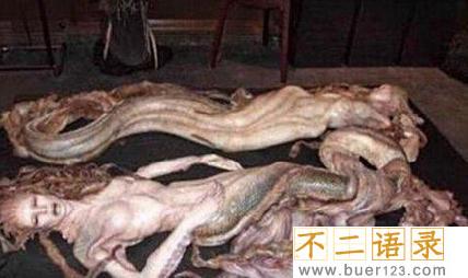 美人鱼真的存在吗？真相告诉你世界上有没有美人鱼图片