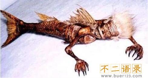 美人鱼真的存在吗？真相告诉你世界上有没有美人鱼图片