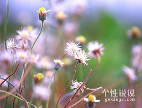 一句话诠释的爱情说说 微信说说和爱情有关的句子