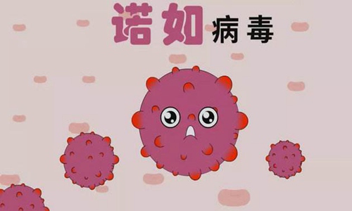 诺如病毒症状可自愈吗？预防和治疗诺如病毒必知常识图片