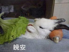 给男朋友撩心晚安心语短句图片