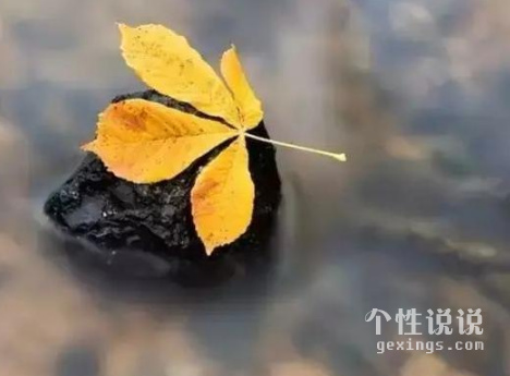 学会优雅面对的唯美句子 朋友不真诚日久见人心的说说