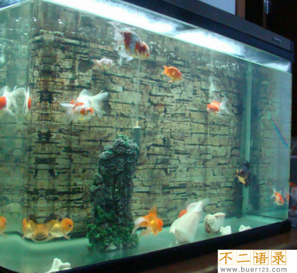 家里辟邪的东西有哪些 家里最简单的十大辟邪东西（封建迷信）图片