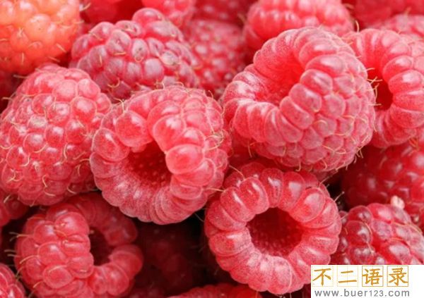 吃什么可以快速减脂?10大快速燃脂食物图片