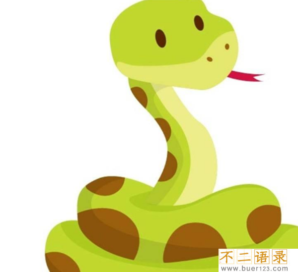 最喜欢晒太阳的10种动物 蛇排第四,第一没人能猜到图片