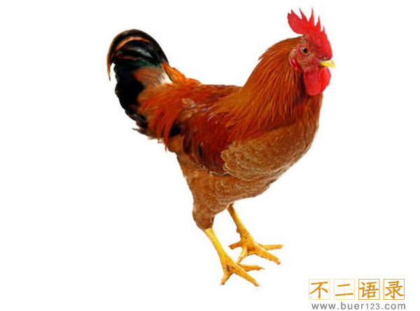 抑郁症多吃什么食物?10种治疗抑郁症的食物图片