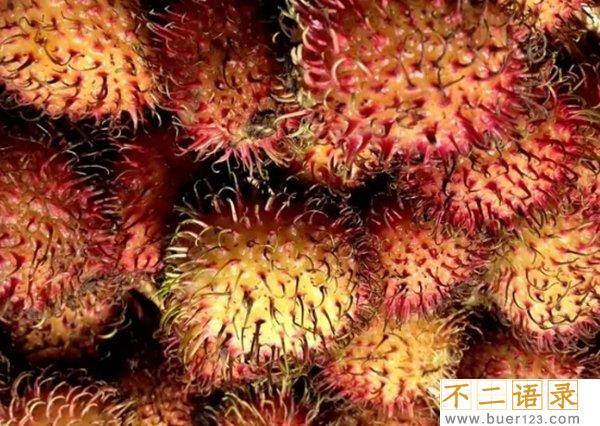 不常见的水果有哪些?10种不常见的奇葩水果(带图)图片