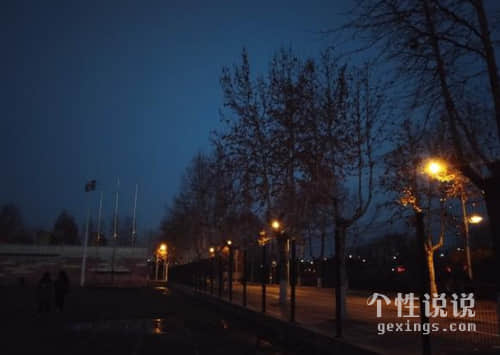 保护动物的唯美句子:保护动物就是保护我们自己