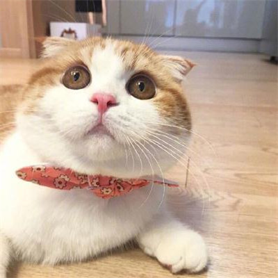 qq个性头像头像背影男生非主流图片