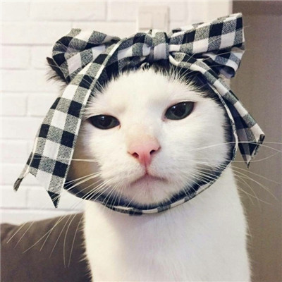 超好看的qq头像女生图片