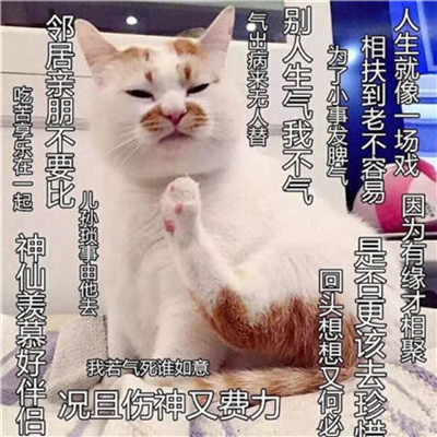 动漫女生头像可爱清新图片
