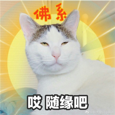 动漫女生头像可爱清新图片