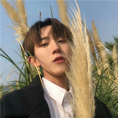 唯美头像2018有意境头像男生苹果手机图片图片