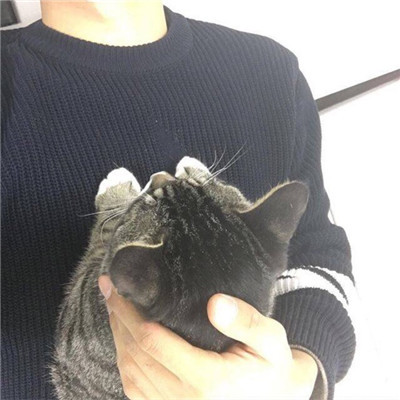 qq头像男生手机控苹果图片