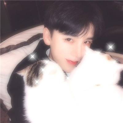 萌宠头像 狗狗男生图片