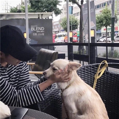 招财吉利带来好运的花臂头像 男生动漫图片