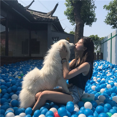 q q头像女生可爱白色图片