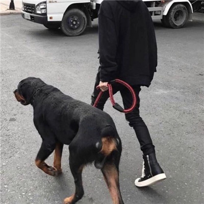 不露脸的动漫微信头像男生专用帅气图片