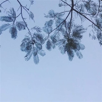 微信最吉利的好看头像风景男男生的沙雕三人头像图片