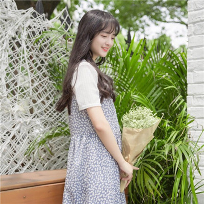 淡雅qq图片女生头像图片