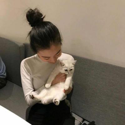 宠物情侣头像一左一右