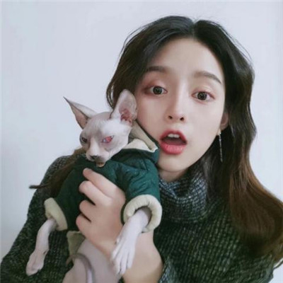 qq头像女生卡通头像图片