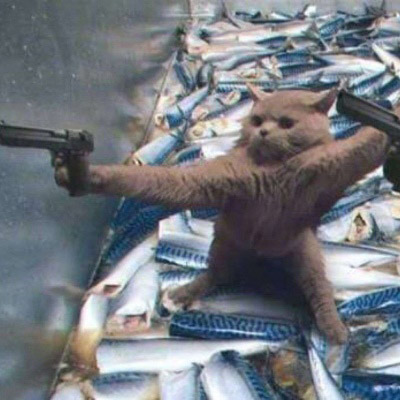 猫咪情侣头像一左一右两张