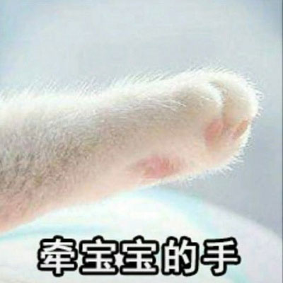 又丑又搞笑的情侣头像一对两张