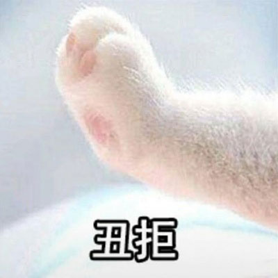 又丑又搞笑的情侣头像一对两张