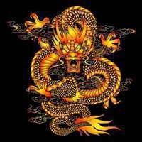 龙头像图片大全 最霸气好看的微信龙头像高清版