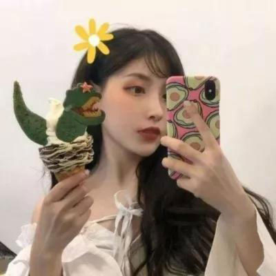 女头图片(拿手机挡脸)