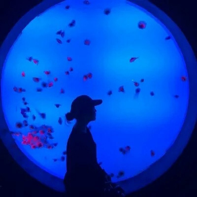 低调情头 最难找到的情头