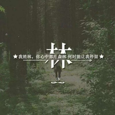 带自己姓氏的头像图片 一个姓氏一句话头像