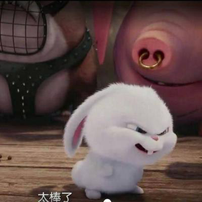 兔子小白头像 爱宠大机密高清卡通兔子小白头像大全