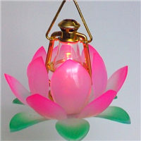 佛教放光莲花图片大全