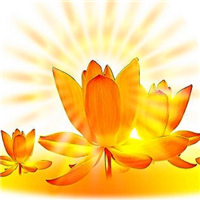 佛教放光莲花图片大全