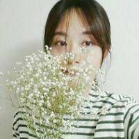 抱着满天星的女生头像 女生拿满天星图片唯美