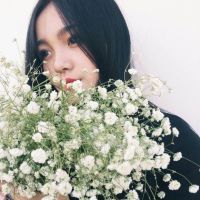 抱着满天星的女生头像 女生拿满天星图片唯美