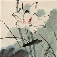 漂亮的卡通荷花图片 池塘里荷花简笔画图片