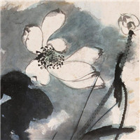 漂亮的卡通荷花图片 池塘里荷花简笔画图片