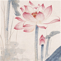 漂亮的卡通荷花图片 池塘里荷花简笔画图片