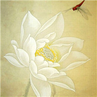 漂亮的卡通荷花图片 池塘里荷花简笔画图片