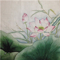 漂亮的卡通荷花图片 池塘里荷花简笔画图片