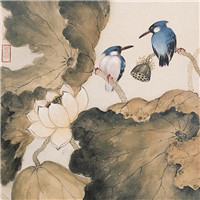 漂亮的卡通荷花图片 池塘里荷花简笔画图片
