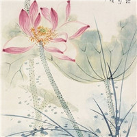 漂亮的卡通荷花图片 池塘里荷花简笔画图片